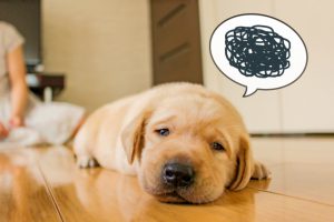 車検が通らない！不合格の理由とは？